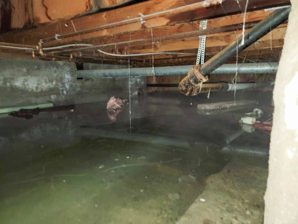 Best 24-hour water damage restoration  in Weston, NJ