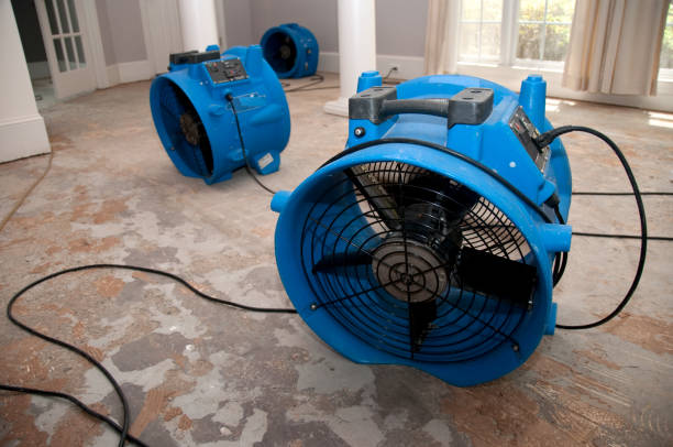 Reliable Weston, NJ Water damage restoration Solutions